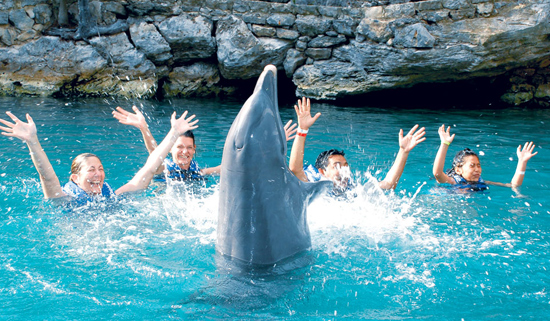 Cancun Swim With Dolphins