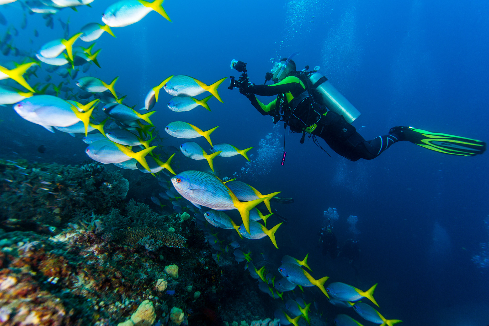 Cancun Scuba Diving