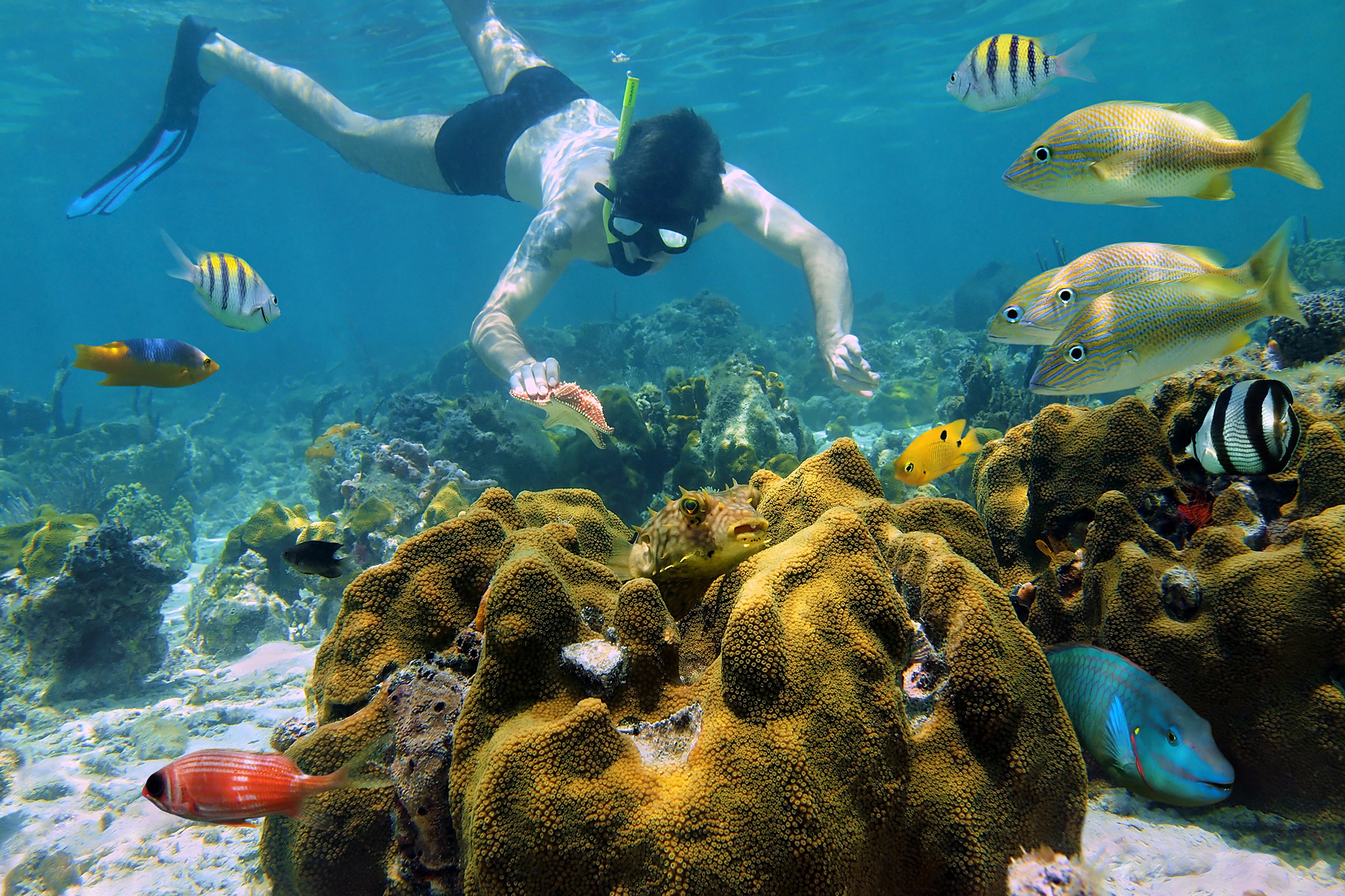 Cancun Snorkeling