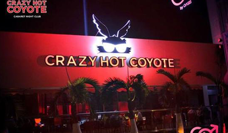 Crazy Hot Coyote