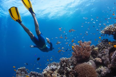 Deep Sea Snorkeling